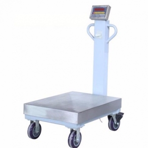 Mobile platform scale(30kg-1000kg)
