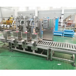 純丙乳液灌裝機 自動稱重灌裝機 生產(chǎn)多功能灌裝機 藥品灌裝機