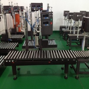 17L化學(xué)液體分裝線 雙頭分裝線上海廣志灌裝機(jī)械