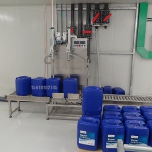 2頭插入式稱重灌裝機(jī)